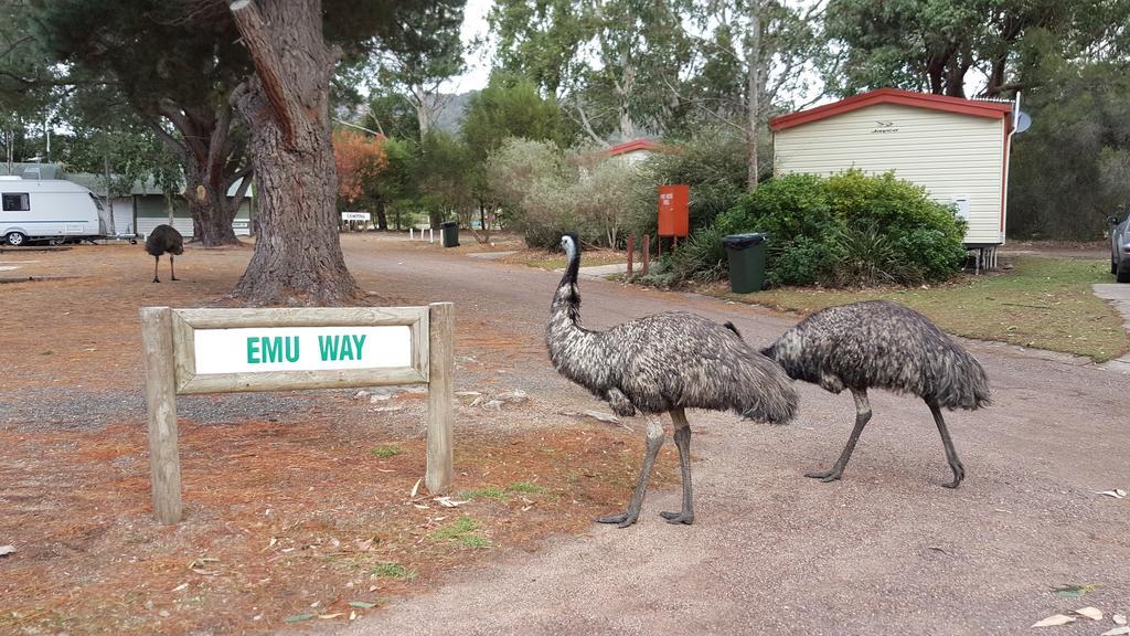 Breeze Holiday Parks - Grampians Холс-Гэп Экстерьер фото