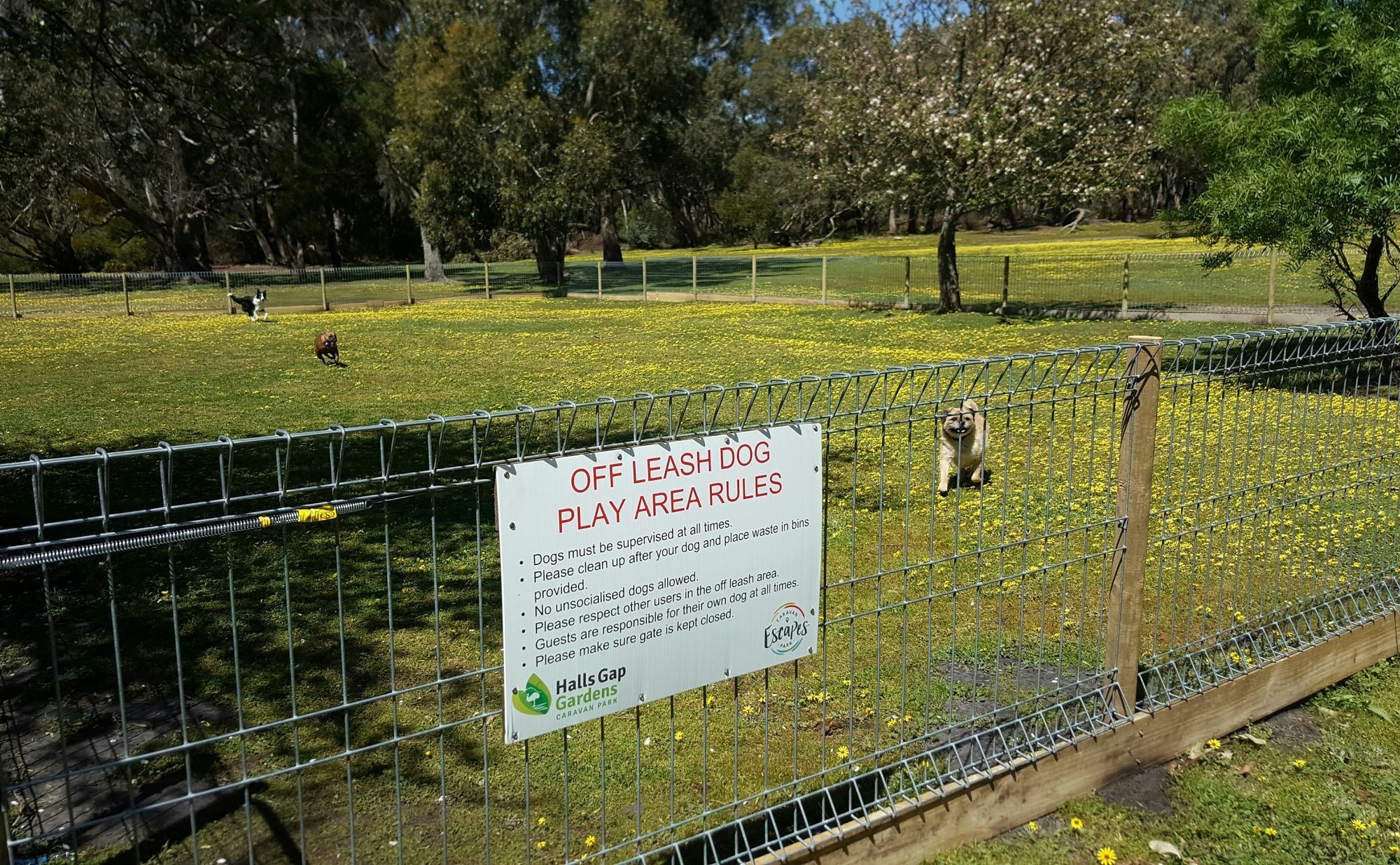 Breeze Holiday Parks - Grampians Холс-Гэп Экстерьер фото